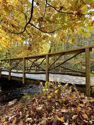 Trail Walking